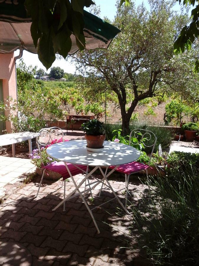 Vents D'Anges Bed & Breakfast Sainte-Cecile-les-Vignes Exterior photo