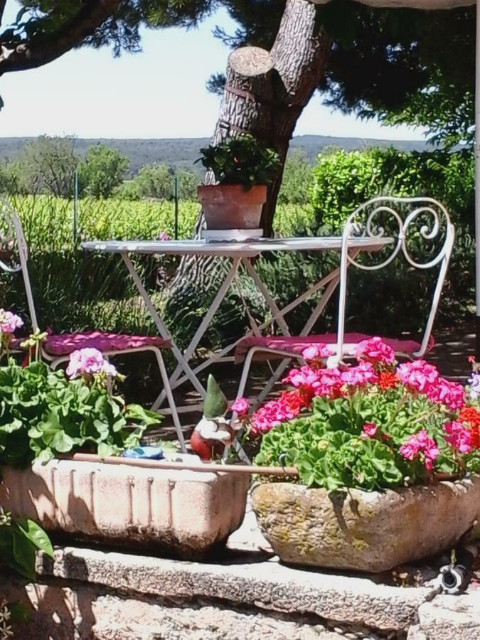 Vents D'Anges Bed & Breakfast Sainte-Cecile-les-Vignes Exterior photo